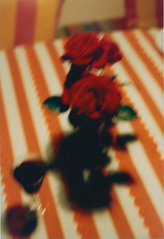 A RED ROSE