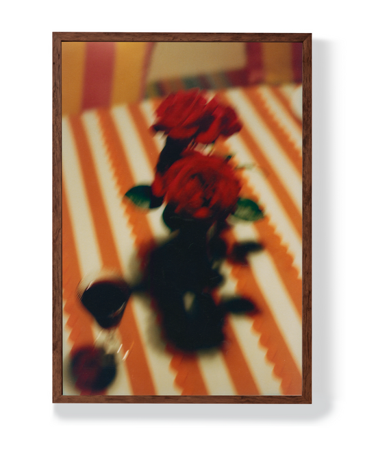 A RED ROSE