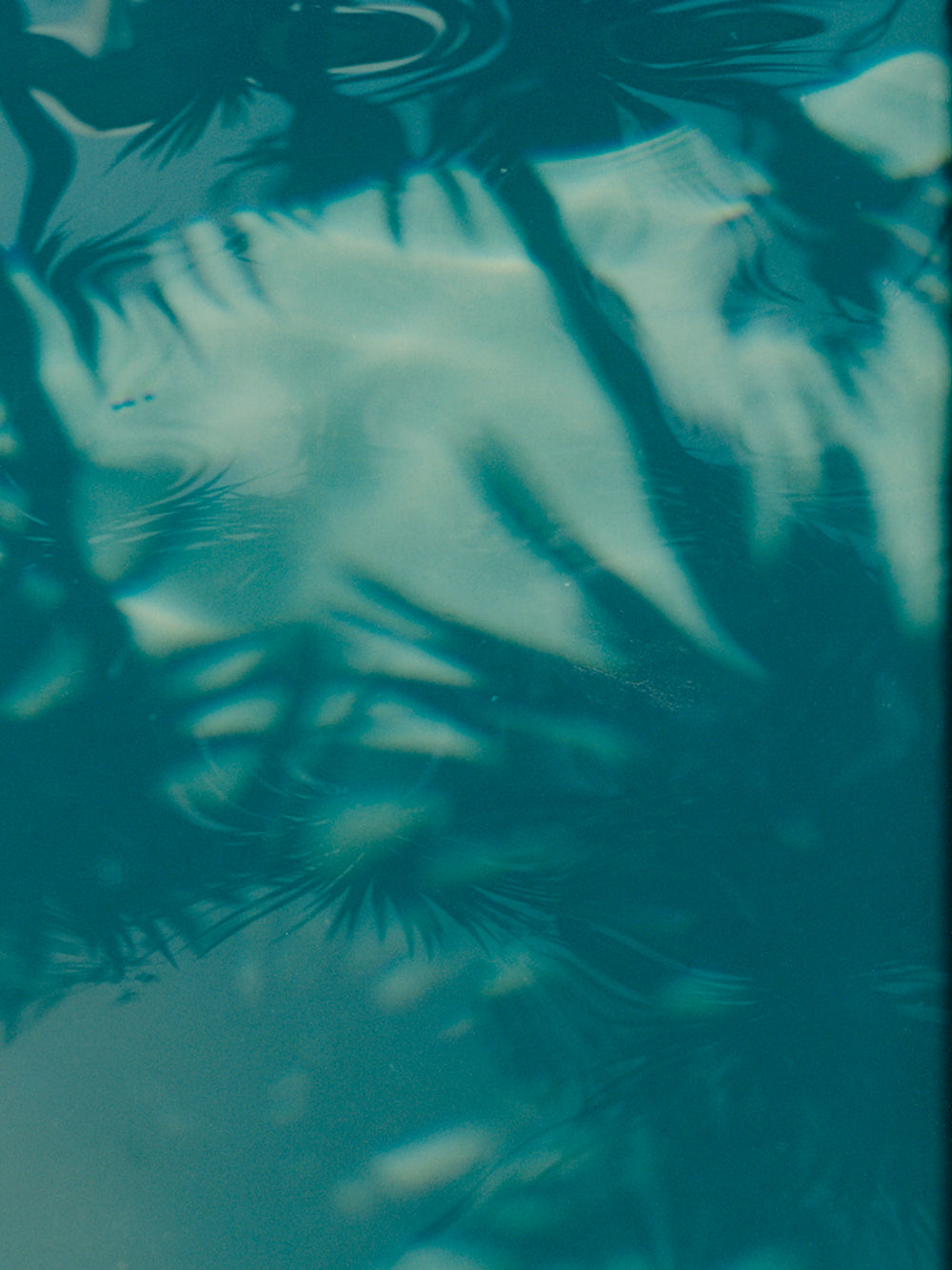 ON REFLECTION I